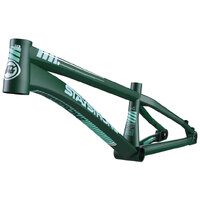 Staystrong V4 'For Life' Frame *Disc Only* (Pro-XL - Green)