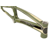 Staystrong V2 'For Life' 21.00" Frame PRO-XL (Green)