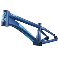 Staystrong V4 'For Life' frame *Disc Only* (Pro - Navy)