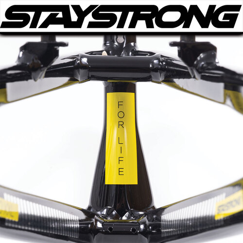 Staystrong V4 Frame Pro Cruiser (Gloss Black)